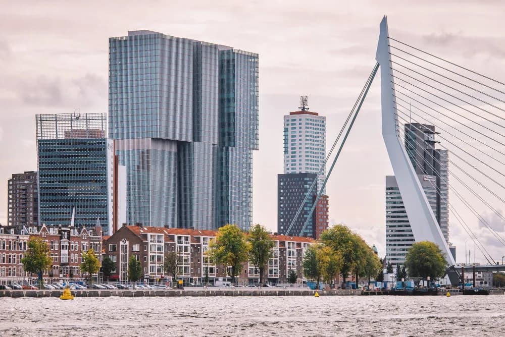 Beëdigde vertalingen in Rotterdam