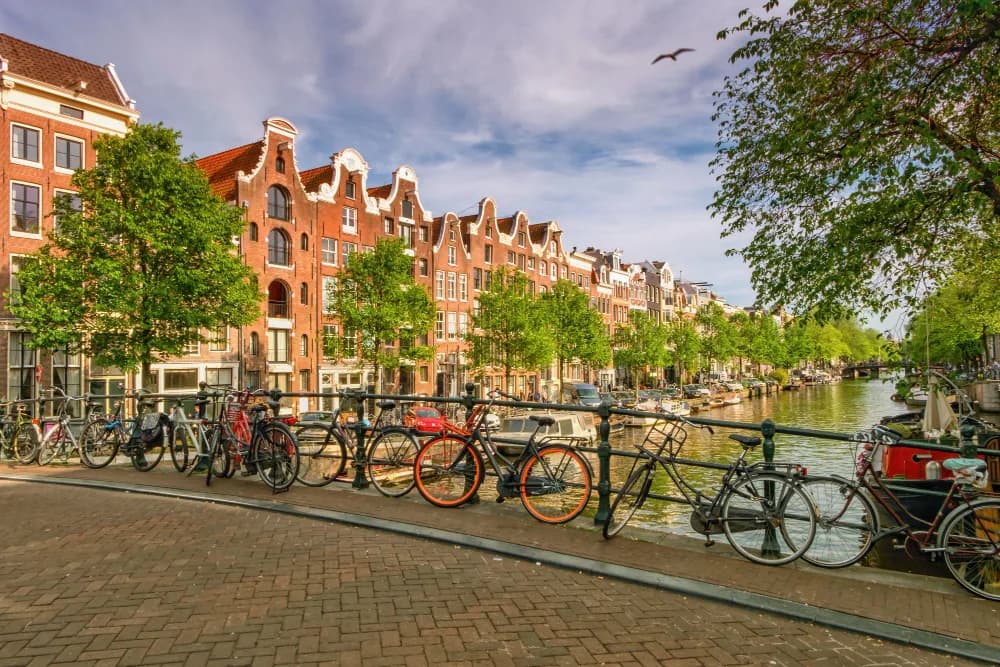 Beëdigde vertalingen in Amsterdam